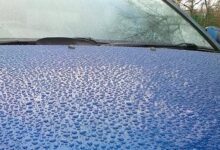 Wet or dry wax: how to polish the car