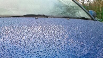 Мокрый или сухой воск: чем полировать машину